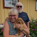 Cavapoo puppy arrival review