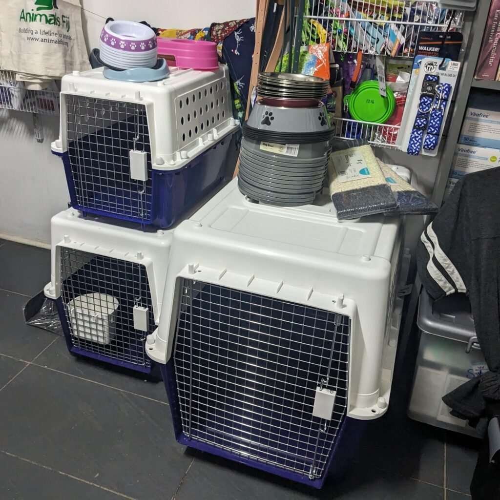 Little Paws Puppy Deliveries